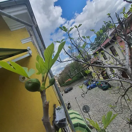 Old Гостевой дом Пловдив