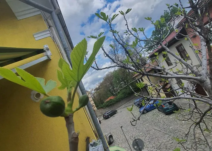 Old 招待所 普罗夫迪夫